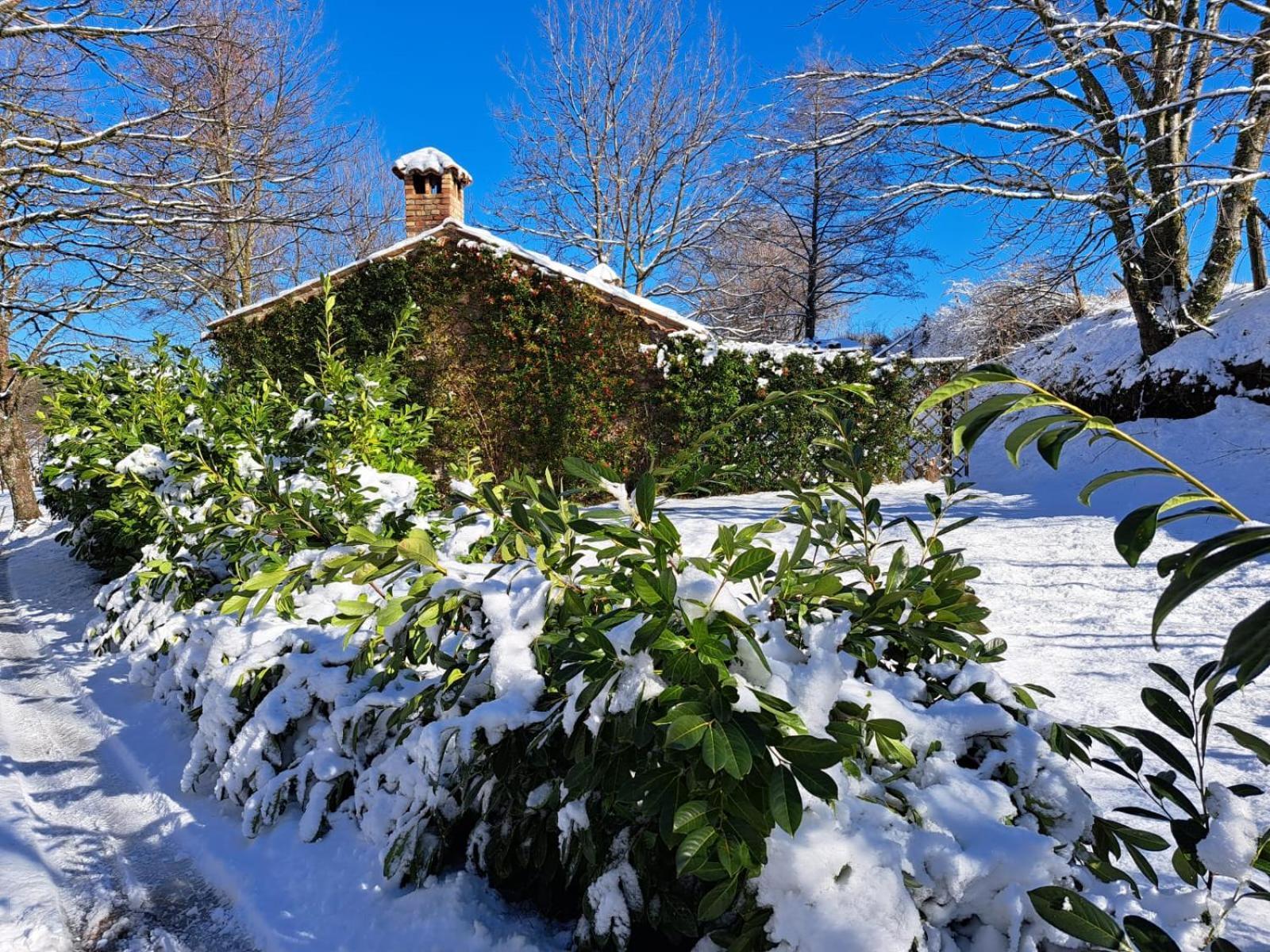 Torre Camigliati Dimora Storica Hotel Camigliatello Silano Exterior photo